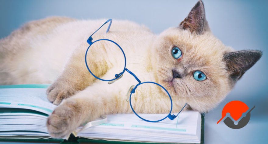 A picture of a kitty lying on a book